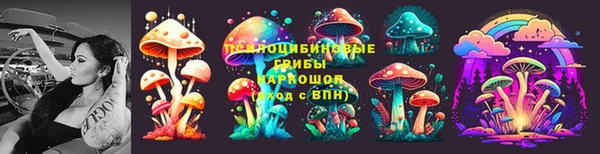 гашик Рославль