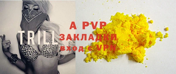 стаф Протвино